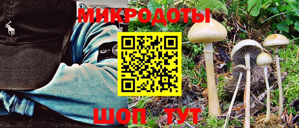 Ростов Великий  Галлюциногенные грибы Magic Shrooms  Вход с VPN  Псилоцибиновые грибы MAGIC MUSHROOMS 